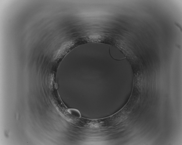 X0000102240742200808011248