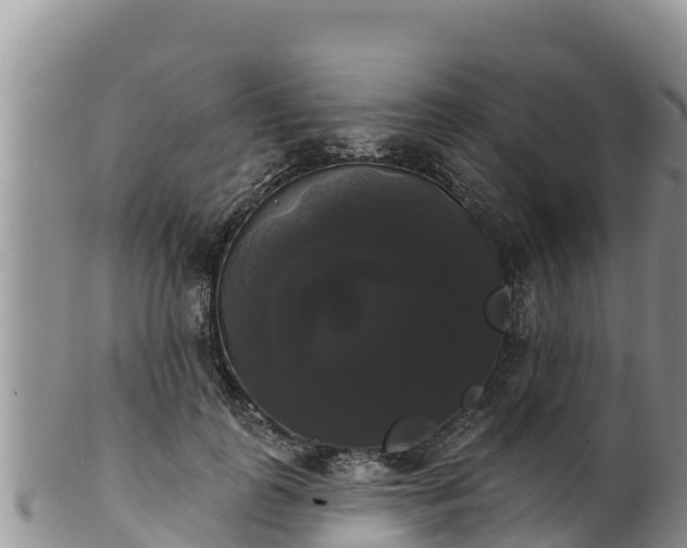 X0000102240747200808011248