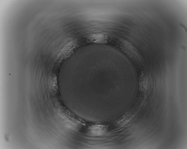 X0000102240748200808011248