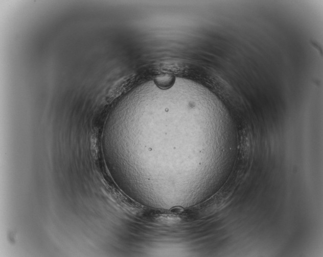 X0000102240749200808011248