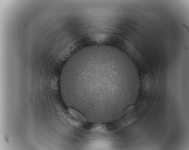 X0000102240750200808011248