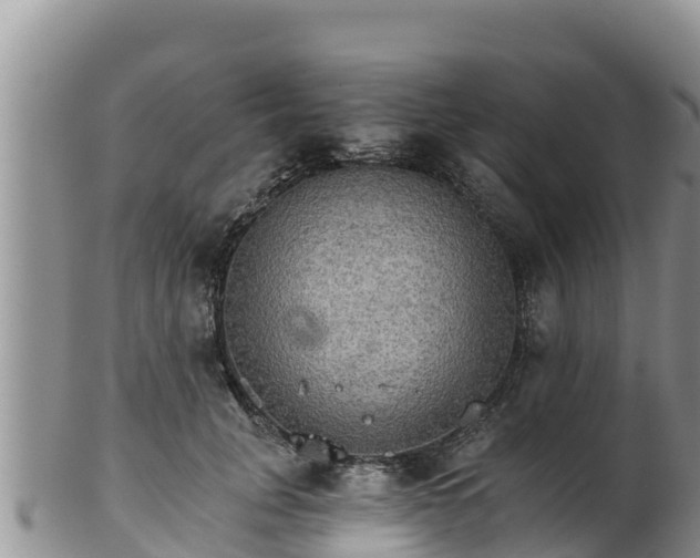 X0000102240751200808011248