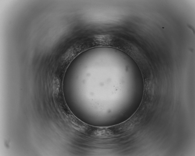 X0000102240752200808011248