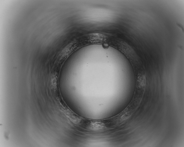 X0000102240753200808011248