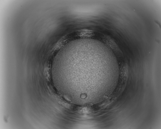 X0000102240755200808011248