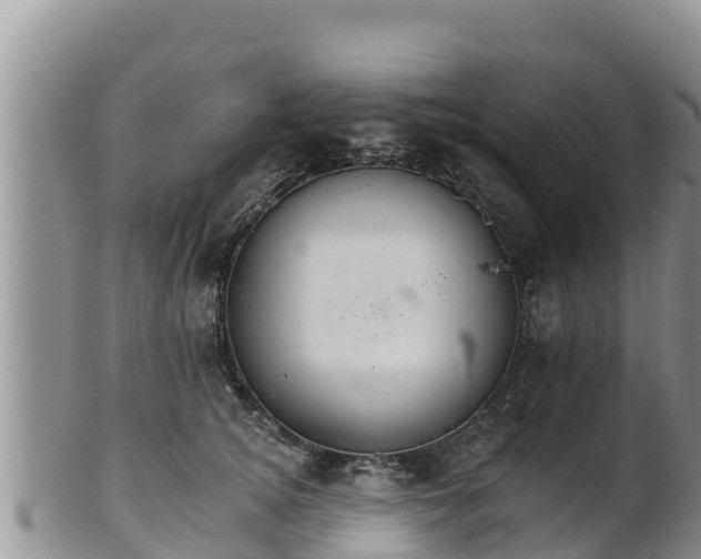 X0000102240756200808011248