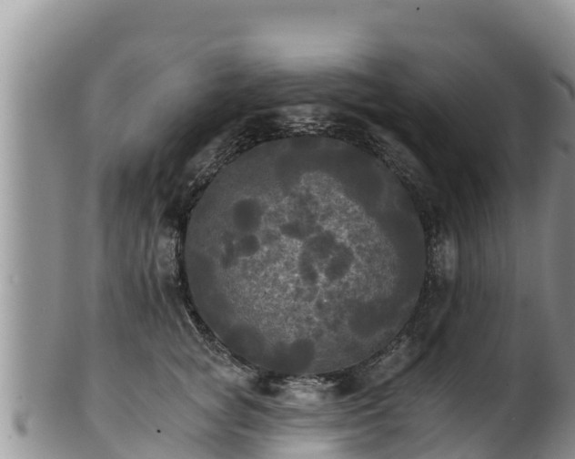 X0000102240757200808011248