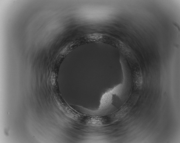 X0000102240758200808011248