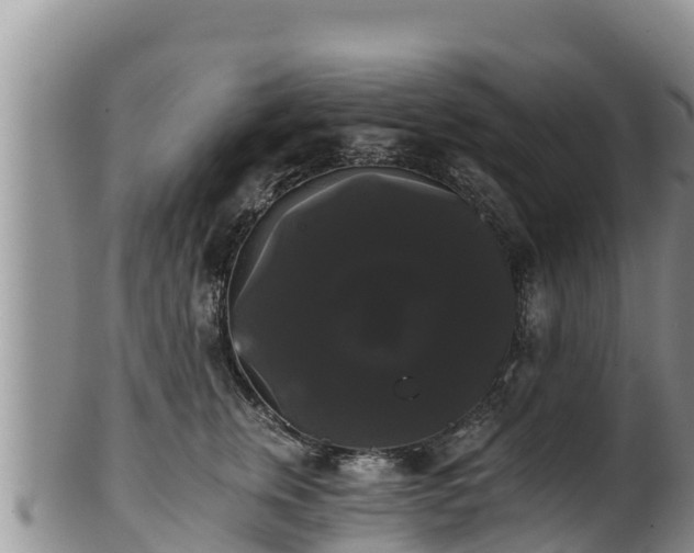 X0000102240759200808011248