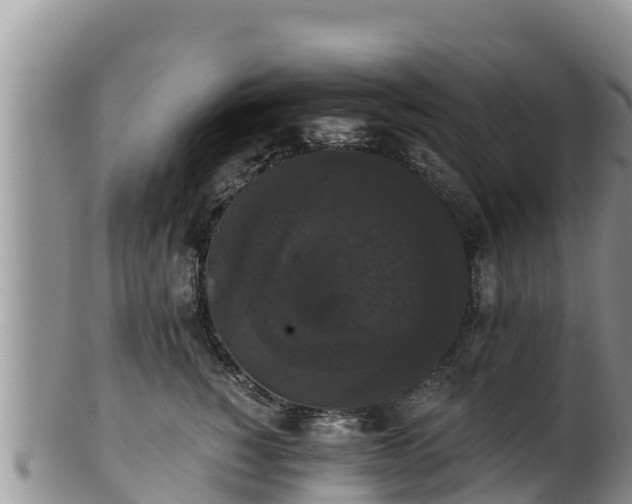 X0000102240760200808011248