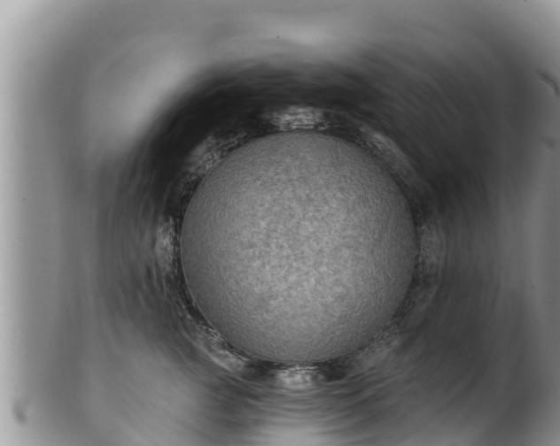 X0000102240761200808011248