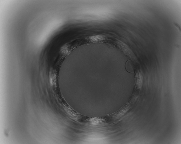 X0000102240762200808011248