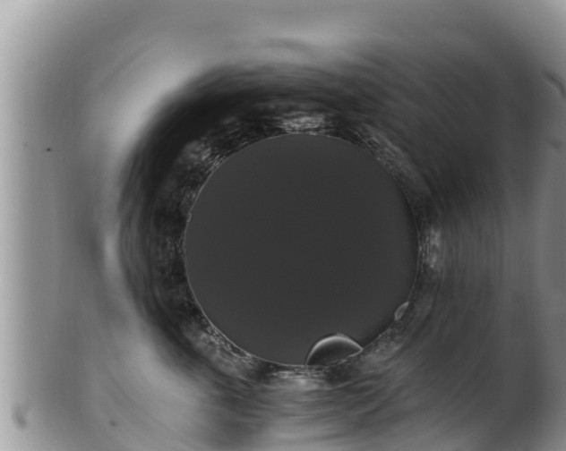 X0000102240763200808011248