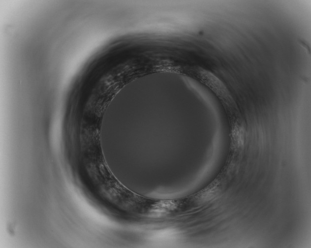 X0000102240765200808011248