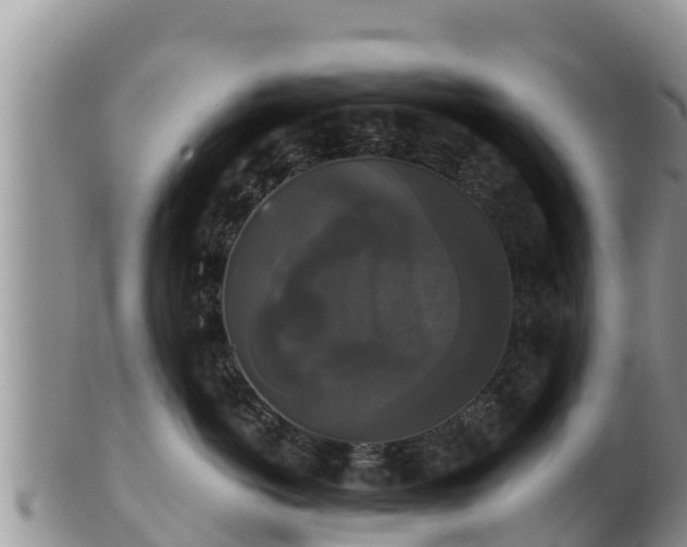 X0000102240766200808011248