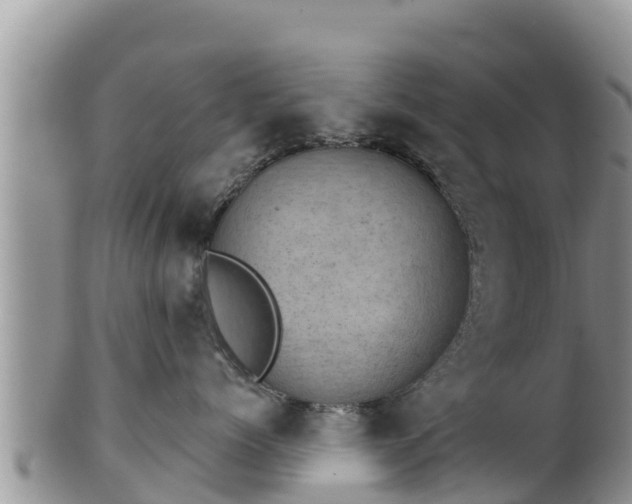 X0000102240768200808011248