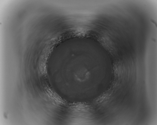 X0000102240769200808011247