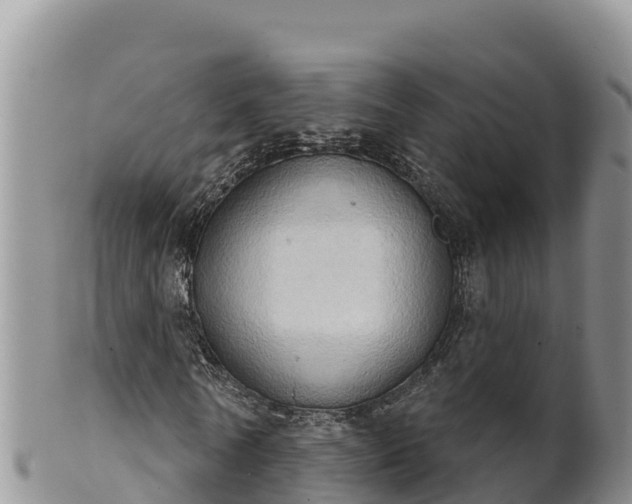 X0000102240770200808011247