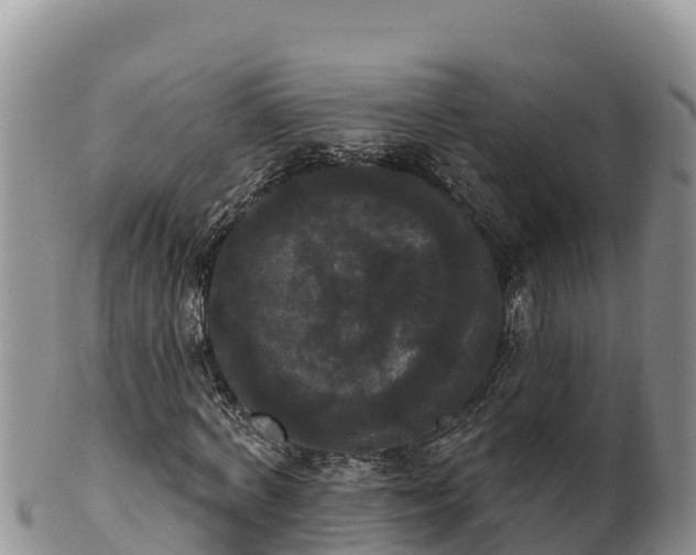 X0000102240772200808011247