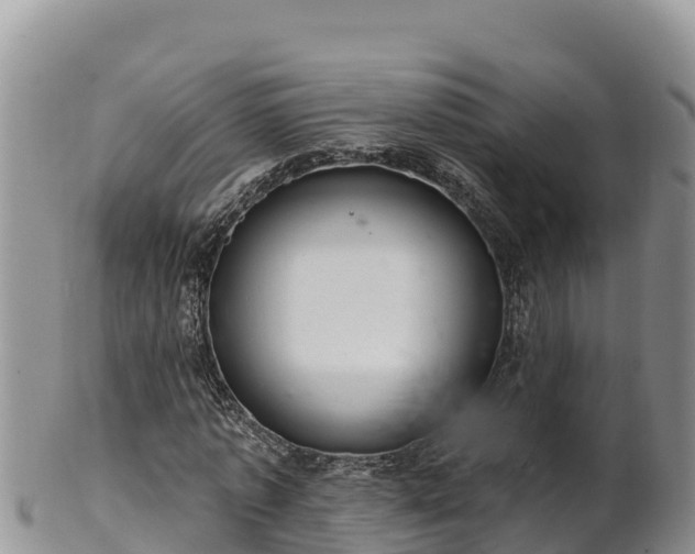 X0000102240773200808011247