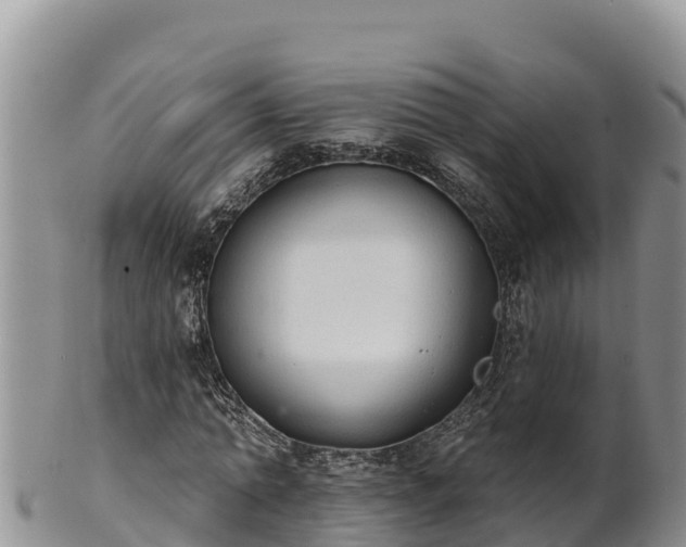 X0000102240774200808011247