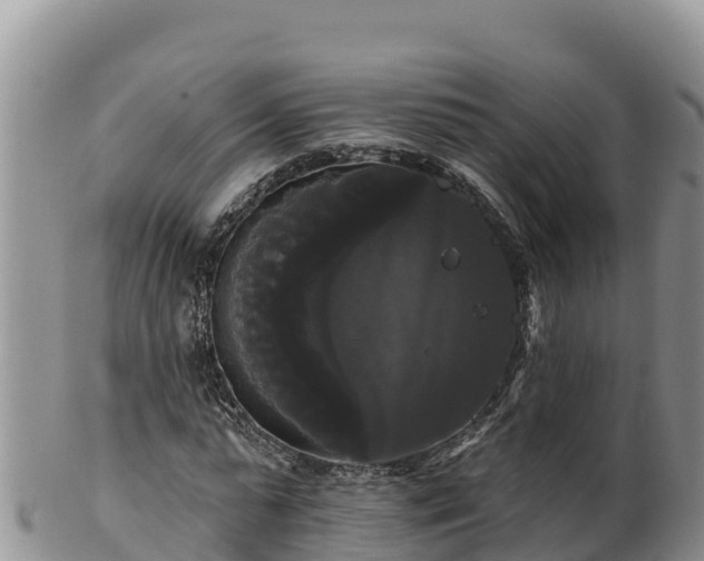 X0000102240775200808011247