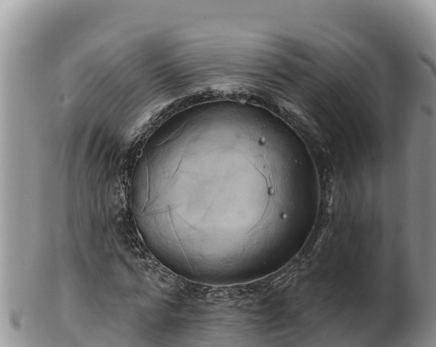 X0000102240776200808011247