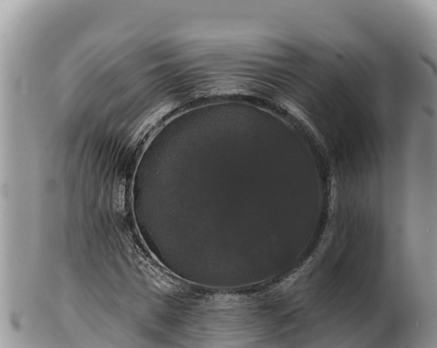 X0000102240777200808011247