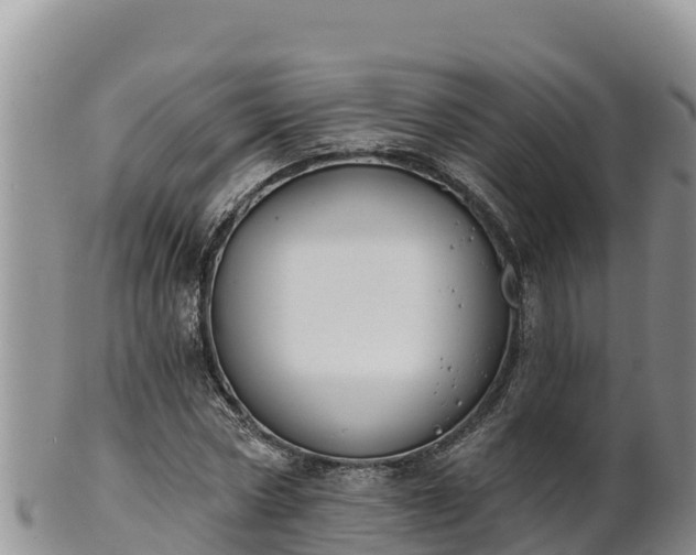 X0000102240778200808011247