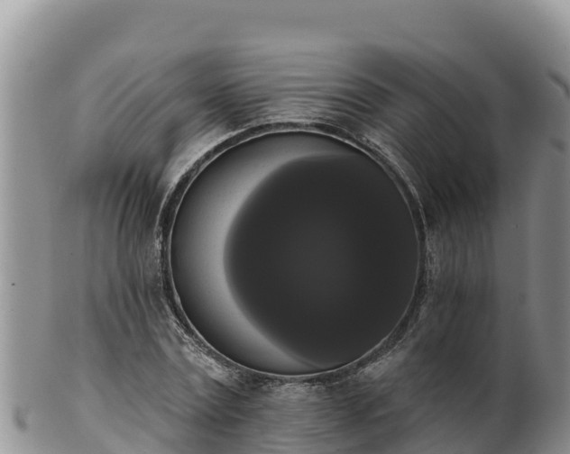 X0000102240779200808011247