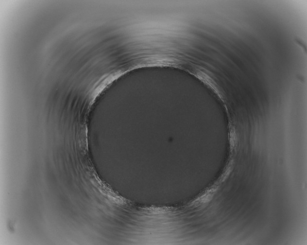 X0000102240781200808011247