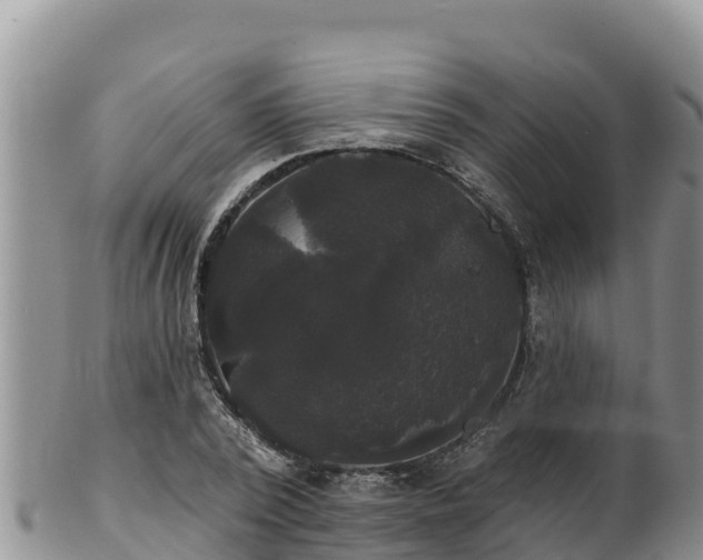 X0000102240784200808011247