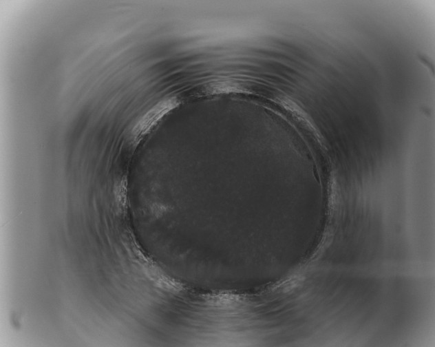 X0000102240785200808011247