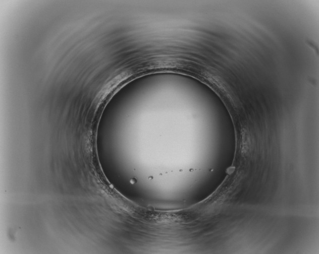 X0000102240786200808011247