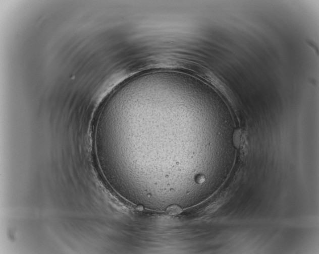 X0000102240787200808011247