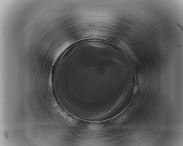 X0000102240788200808011247