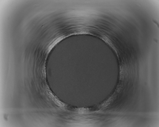 X0000102240789200808011247