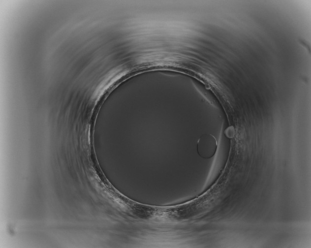 X0000102240790200808011247