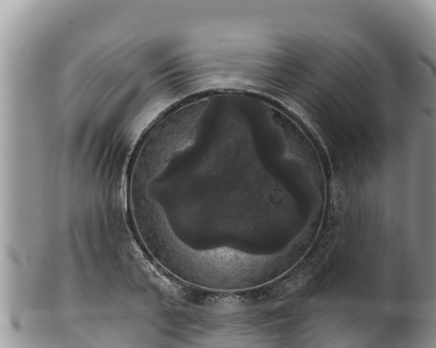 X0000102240791200808011247