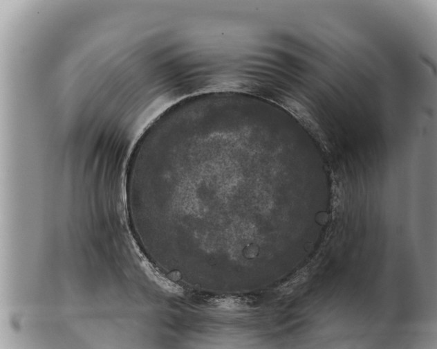 X0000102240792200808011247