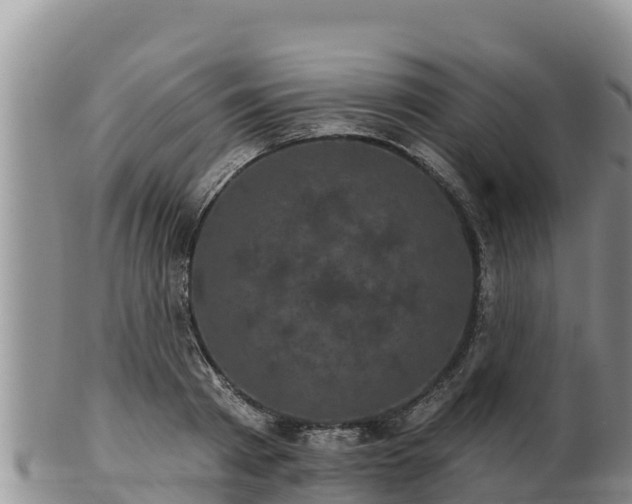 X0000102240793200808011247