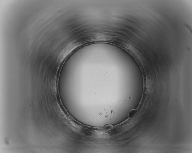 X0000102240794200808011247