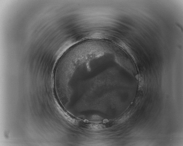 X0000102240795200808011247