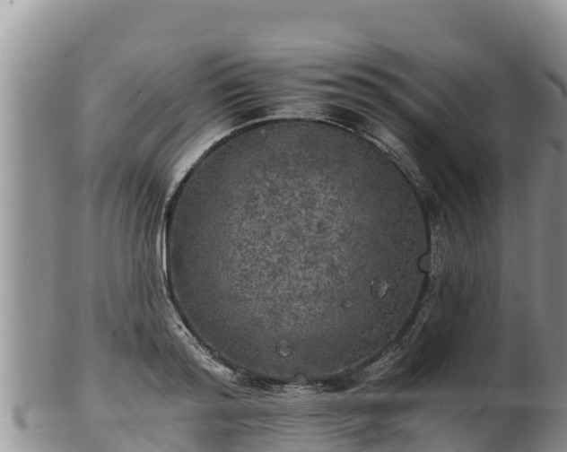 X0000102240796200808011247