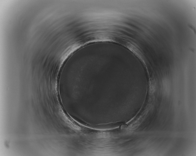 X0000102240797200808011247