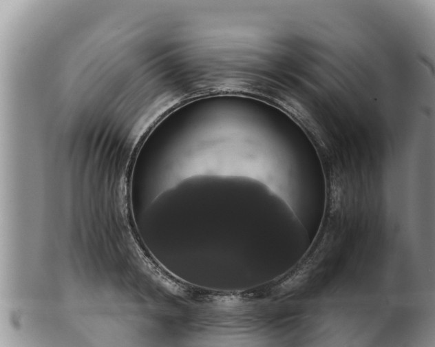 X0000102240798200808011247