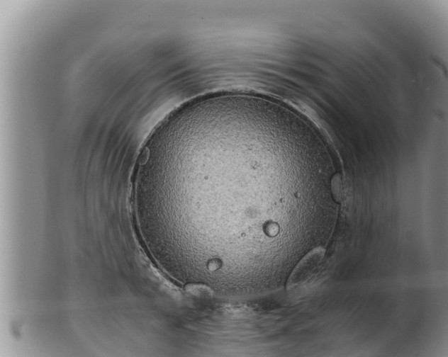 X0000102240799200808011247