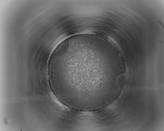 X0000102240800200808011247