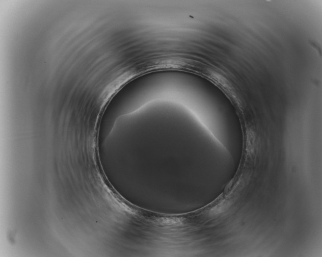 X0000102240802200808011247