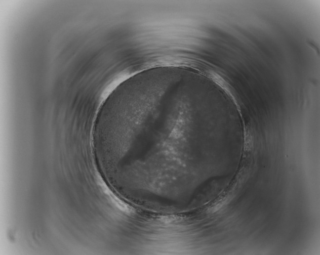 X0000102240803200808011247